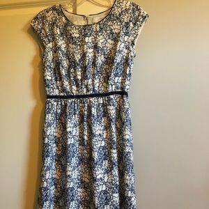 Ann Taylor Loft Dress